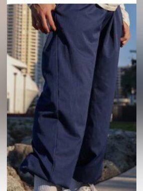 Tiger Friday Elevate Jogger- Navy 💙EUC!!! 🐅